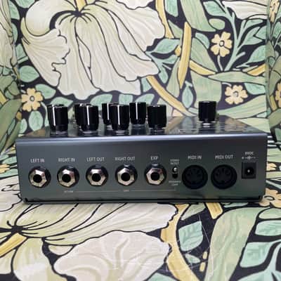 Immagine Strymon Timeline - 5
