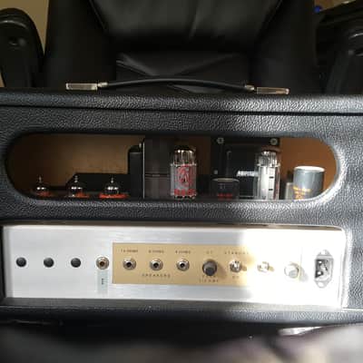 Fargen Mighty Plex MK II Long Box 25W Amp Head image 3