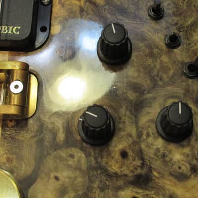 2003 Alembic Stanley Clarke FRETLESS BUCK-EYE BURL Europa Electronics - STUNNING! image 9