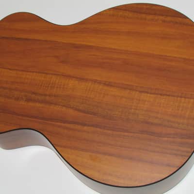 2014 Martin GPCPA5K Performing Artist Acoustic Electric w/Gigbag image 5