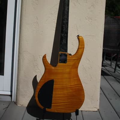Modulus Bassstar SP-24 1980s Amber image 3