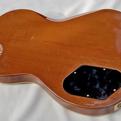 Gibson Chet Atkins SST 1993 image 19