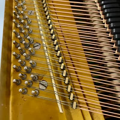 PETROF PIANOFORE A MEZZA CODA BIANCO image 6