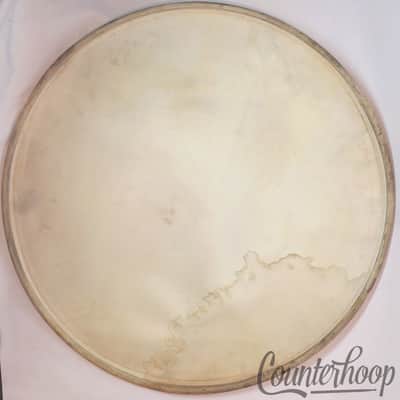 *Gretsch 27" Calf Skin Bass Drum Head Vintage 10s Calfskin Batter Early American image 4