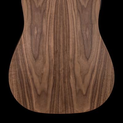 Taylor BBTe #05050 (Demonstration Model) image 2