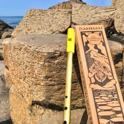 The Dannan Giant's Causeway Brass Whistle in D - Gráinne Green image 3