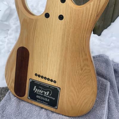Immagine Hard Guitars Workshop Medusa 7 String - 3