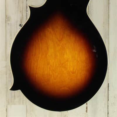 DEMO Gold Tone GM-35 - Tobacco Sunburst (362) image 3