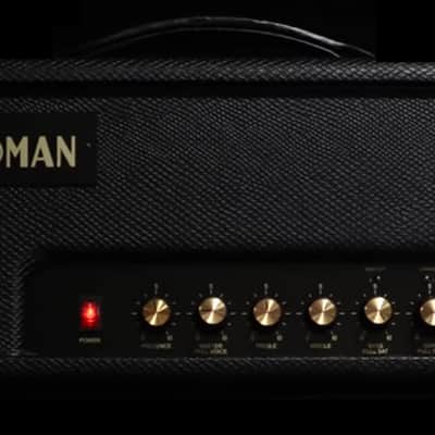 Friedman Amplification Wildwood 20 image 1