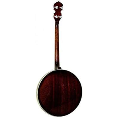 Gold Tone TS-250 Tenor Special Banjo TS-250 w/case image 4