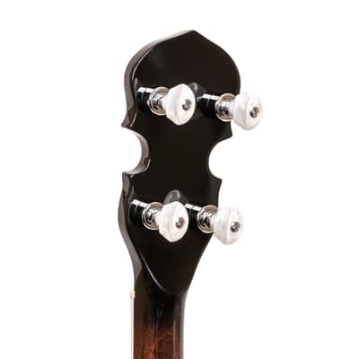 Gold Tone BG-150F Bluegrass Banjo W/ Flange and Bag image 6