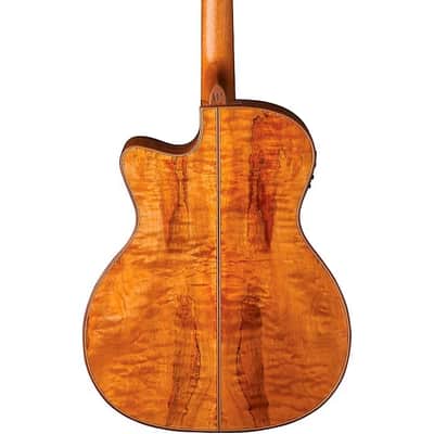 Washburn WCG66SCE Comfort Deluxe Series Solid Cedar Top Spalted 6-String Acoustic-Electric Guitar image 2