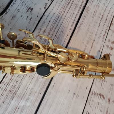 Buffet Crampon Alto Sax Paris with case, no mouthpiece image 18