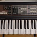 Roland VP-550 49-Key Vocal / Ensemble Keyboard 2006 - 2009 - Black