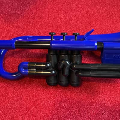 PCornet Cornet 2023 - blue image 1
