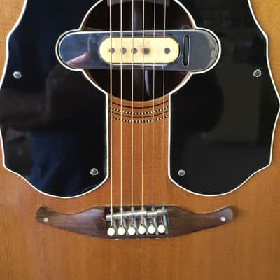1964 Fender King image 2