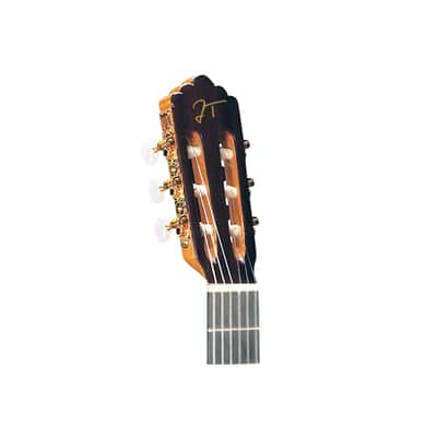 JOSE TORRES JTC-75 image 2