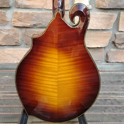 Holst F-4 Hybrid 2023 - Sunburst image 11