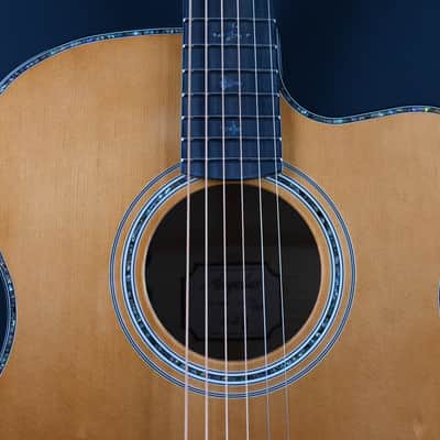 PRS SE Angelus A50E Black Gold #456 image 6