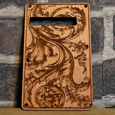 Fender Stratocaster Tremolo Backplate image 1