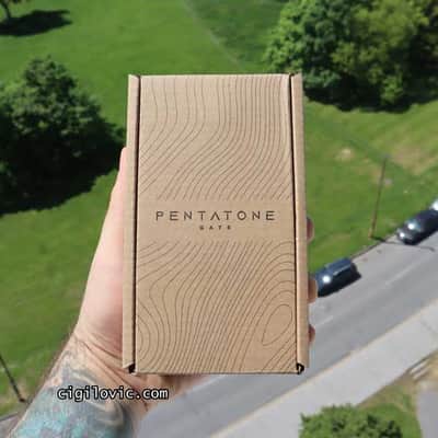 Ibanez Pentatone Gate 2025 - 2 year Thomann Warranty image 8