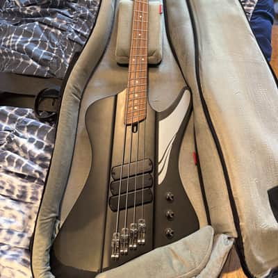 Dingwall D-Roc Standard 2020 Blackburst image 1