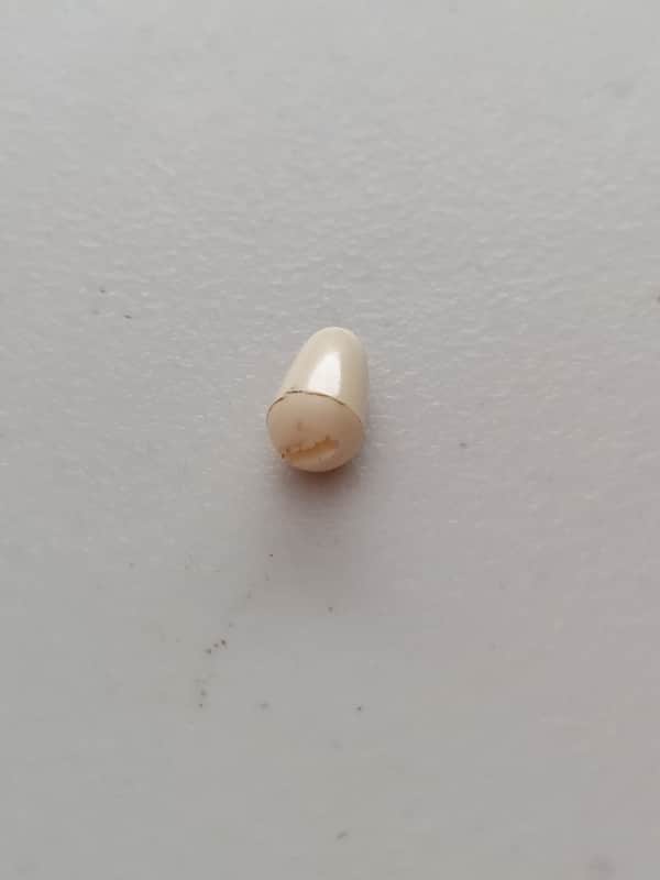 1960's Fender Stratocaster Switch Tip (K-135) image 1