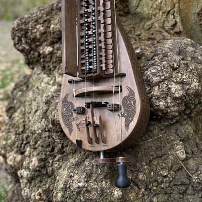 Hurdy-Gurdy With Pickup - 24 Keys - 6 string - Ukrainian Lira Hurdy Gurdy Electric Acoustic Excellent New image 2