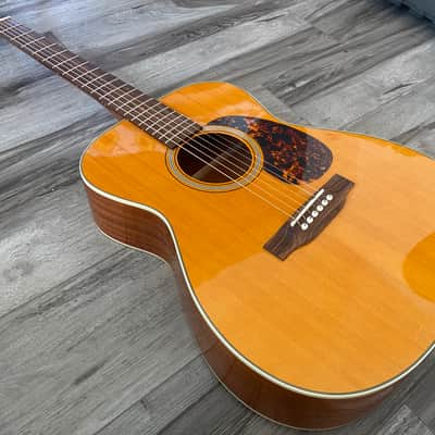 Tanglewood Sundance Historic TW40-O-AN, Hard Case 2010s image 12