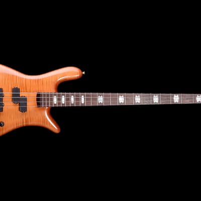Spector Euro 4 Doug Wimbish LE Signature 2025 - Amber Aged image 2