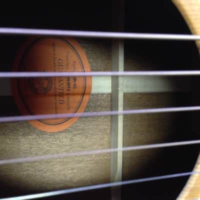 Gibson WM-45 Working Man w/case image 2