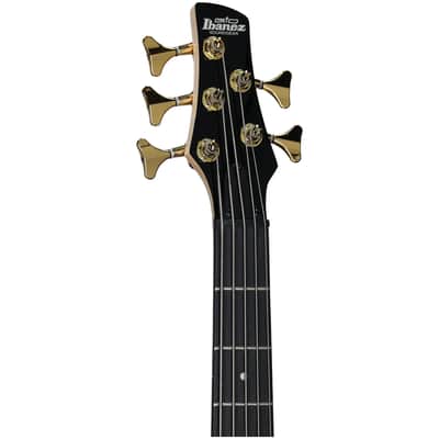 Ibanez GSR205PC Gio Electric Bass, 5-String, Transparent Pale Black Burst image 7