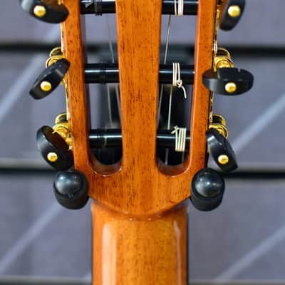 Cordoba Luthier C10 Cedar All Solid Nylon Guitar & Case image 5