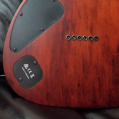 Ibanez RG721RW-CNF Premium Flat Characoal Brown image 19