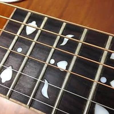 Gold Tone PBR-D Paul Beard Signature Series Resophonic Deluxe Roundneck Resonator Guitar w/Hard Case image 11