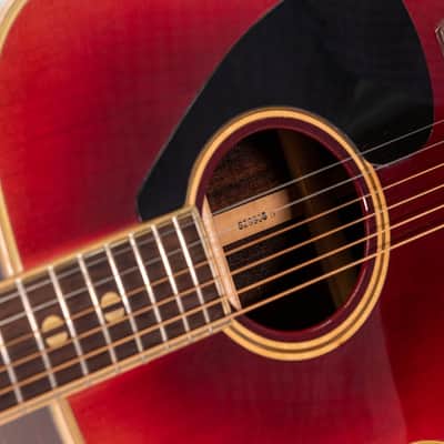Daion Year Series '82 Six String Acoustic image 20