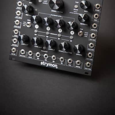 Strymon Magneto image 3