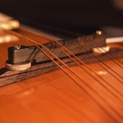 Ventura Mandolin – Excellent Condition! image 7