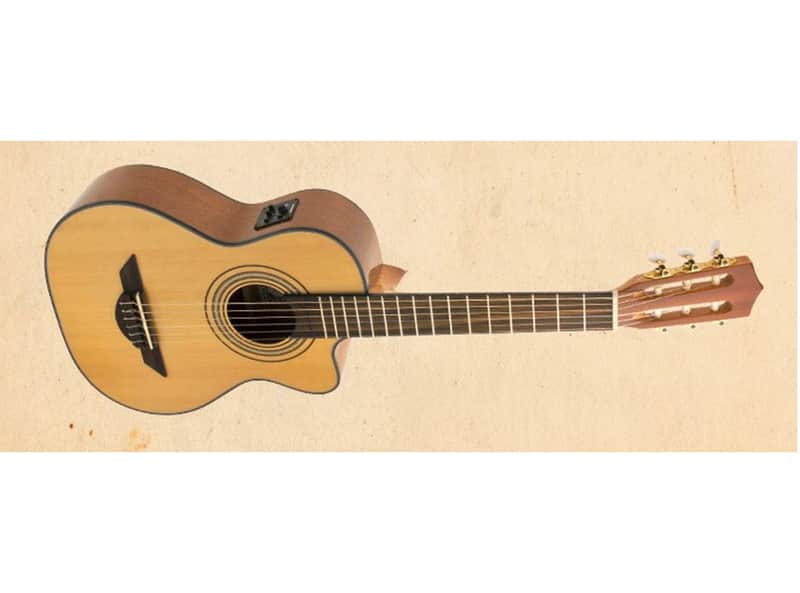H. Jimenez LR2CE Voice de Trio Acoustic-Electric Requinto image 1