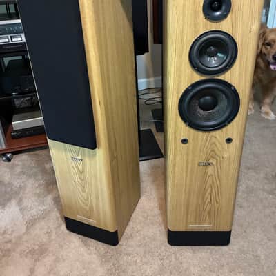 Pioneer S-T300 1992 Medium oak | Reverb
