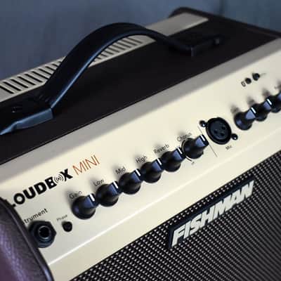 Fishman PRO-LBT-500 Loudbox Mini + Bluetooth image 3