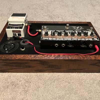 Custom Acoustic Guitar Pedalboard image 2