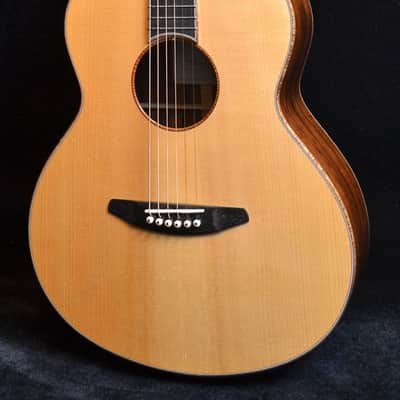 Baden - American Made TJ Baden Guitar Madagascar image 3