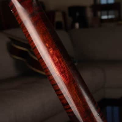 Gibson The Explorer CMT with TP-6 Tailpiece and Bound Curly Maple Top 1982 Cherry Sunburst image 6