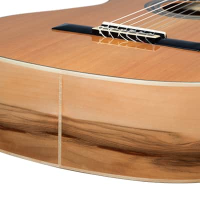 Ortega R20GSNRG Traditional Series Solid Cedar Top Mahogany Neck Nylon 6-String Classical Acoustic Guitar w/Gig Bag image 14