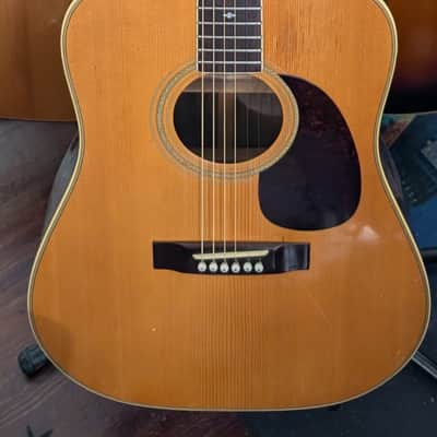 Hohner International Limited Edition HG310 Dreadnought Acoustic Guitar image 1