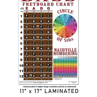 Laminated 4 String Bass Fretboard Chart Poster Nashville Numbering Theory 11x17 Beginner Easy image 3