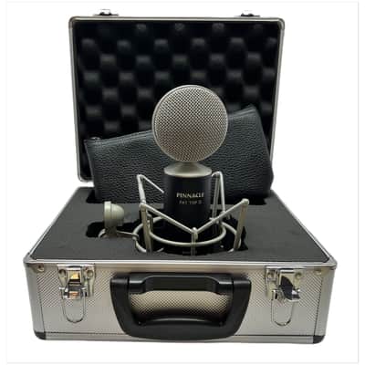 Pinnacle Microphones Fat Top II Active/Passive Ribbon Microphone, Black image 1