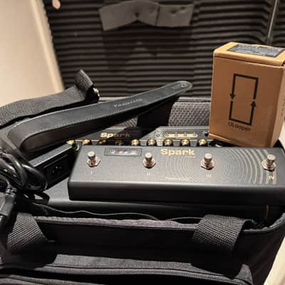Positive Grid Spark 40 40-Watt 2x4" Modeling Guitar Combo, uLooper, Sparkcontrol foot switch, Spark bag image 8