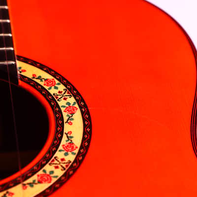 Hermanos Sanchis Lopez 1F Extra Rio 2023 flamenco guitar - Elegant workmanship, explosive bass, and singing trebles - a Flamenca Negra of the highest order! image 14